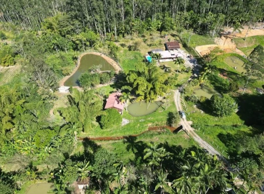 S�tio - Venda - Bairro Oliveira - Tijucas - SC